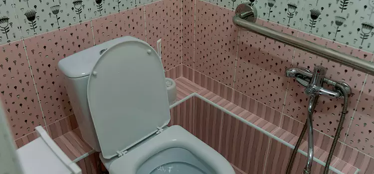 Meeting Diverse Needs With Accessible Restroom Solutions in Belle Glade, FL